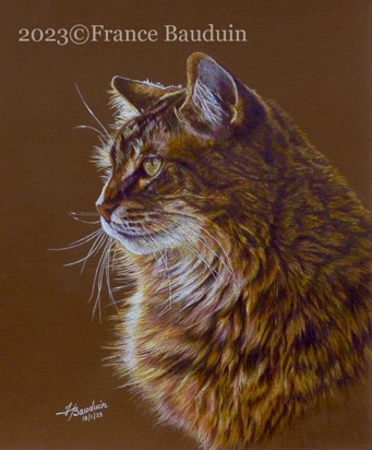 Johny - 18.5 hours
Brown Colourfix Smooth
10.5" x 9"
Ref: Véronique Désilets